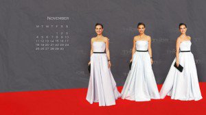 Read more about the article Calendar – November