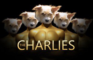 Read more about the article The Charlie Awards – 2013