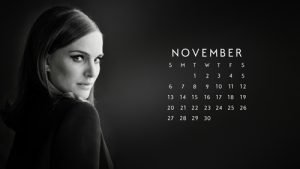 Read more about the article Calendar – November