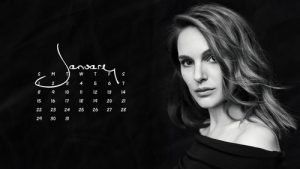 Read more about the article January Calendar