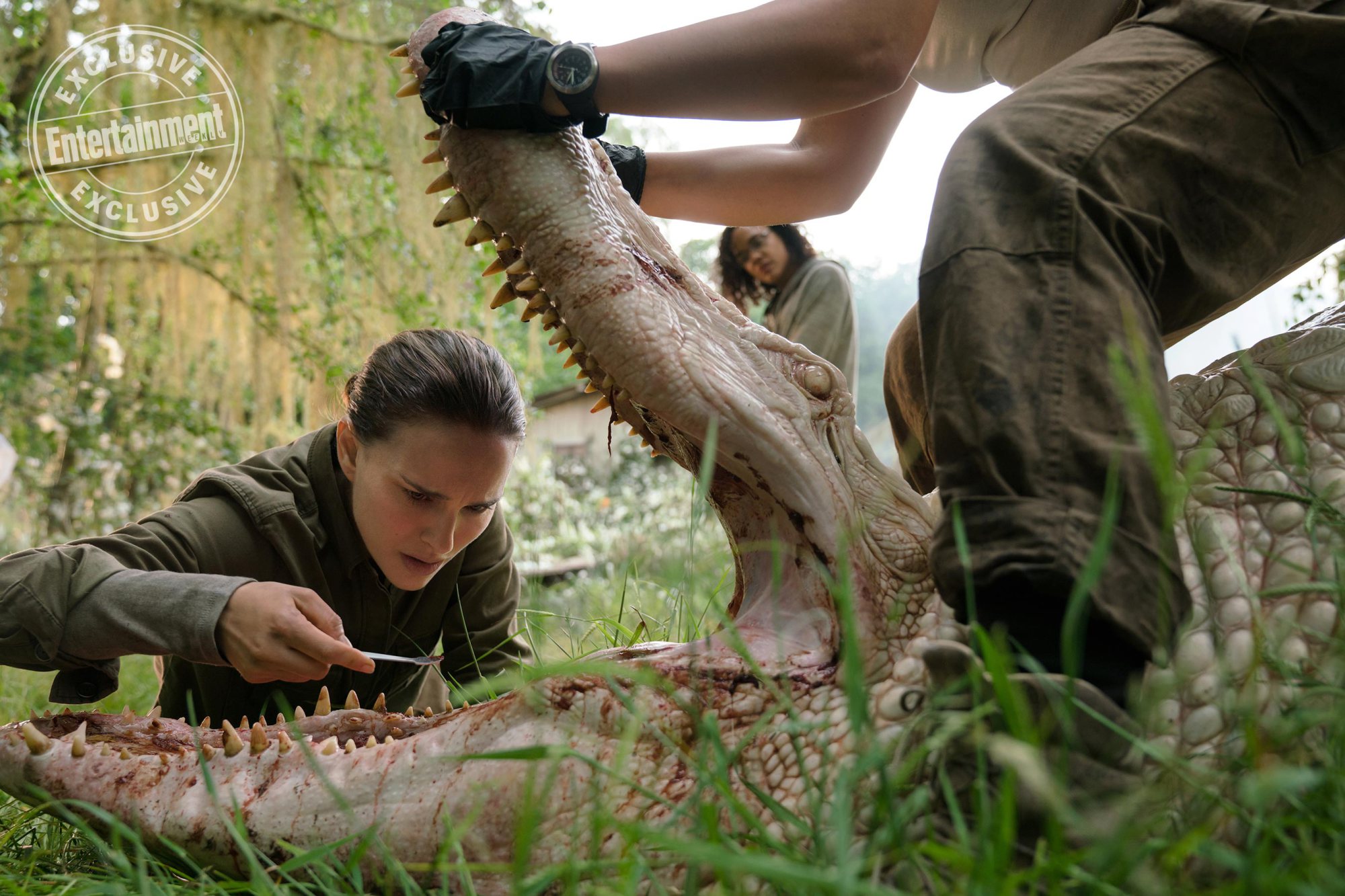 Read more about the article First Annihilation Still
