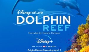 Dolphin Reef Releases on Disney + Today
