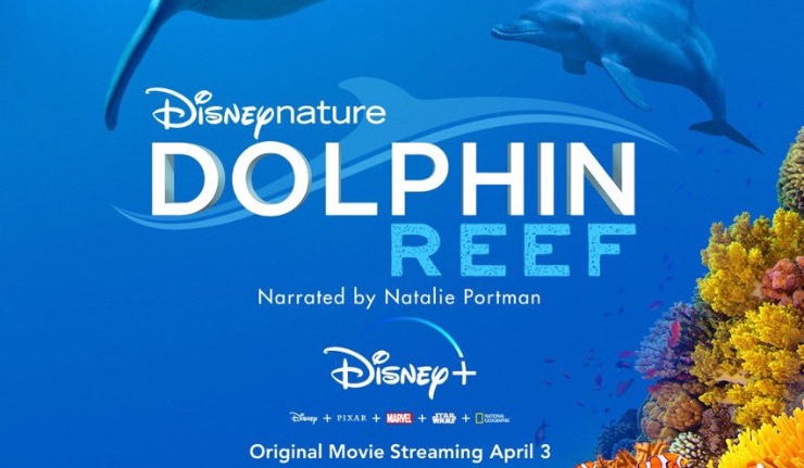 You are currently viewing Dolphin Reef Releases on Disney + Today